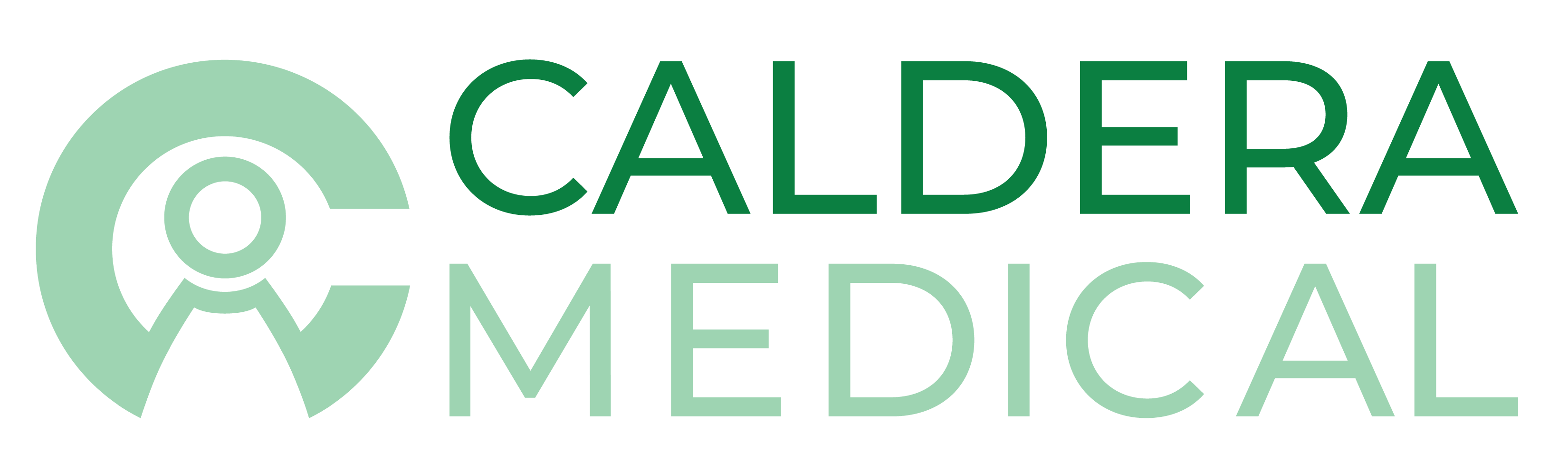 Caldera Medical