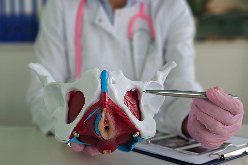 Our care solutions: Pelvic Organ Prolapse (POP)